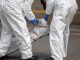 Homicidio-inspeccion-del-cadaver