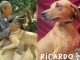 Triste historia: Falleció el Señor de los Perros y sus peludos quedaron a la deriva