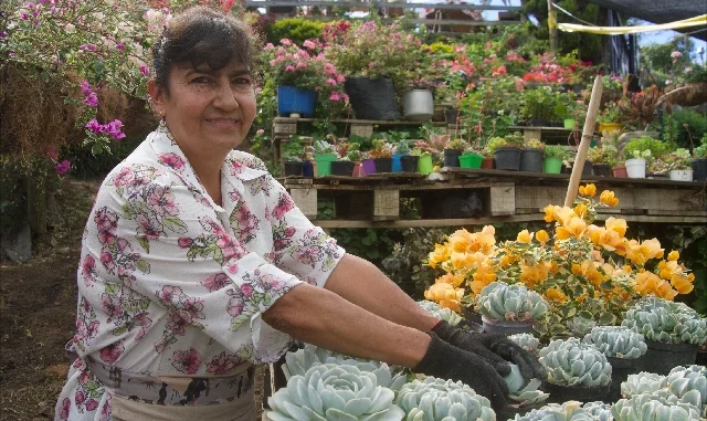 Agricultora de Medellín