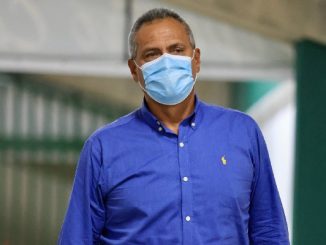 Hernán Torres, entrenador