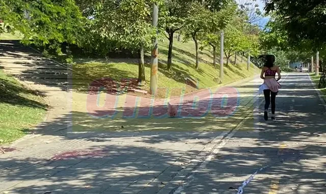 Lugar del homicidio de una mujer en Castilla