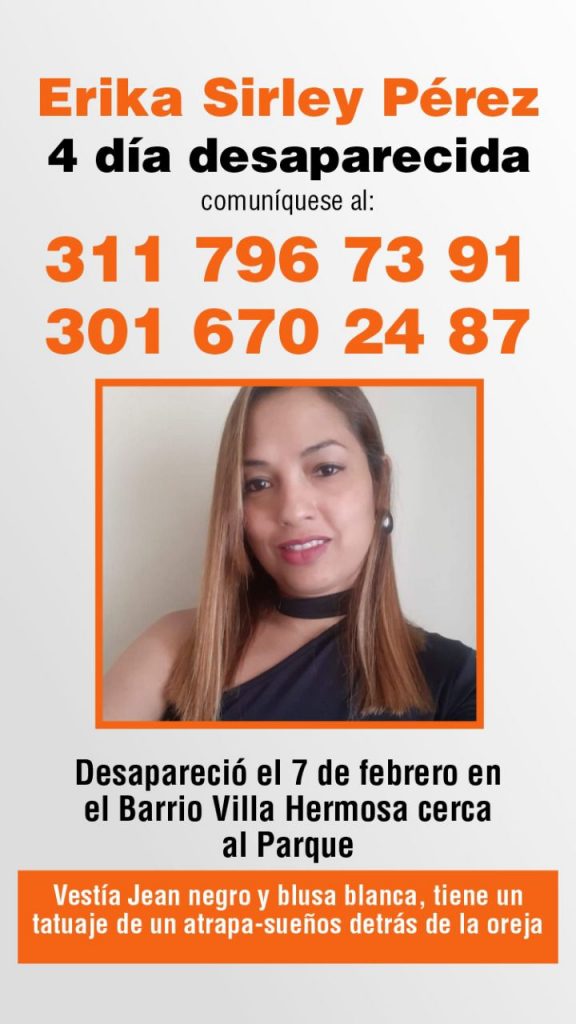 Desaparecida, Erika