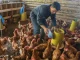 Galpon-gallinas-gallinaza