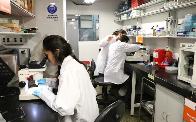 Grupo de Neurociencias de la Universidad de Antioquia