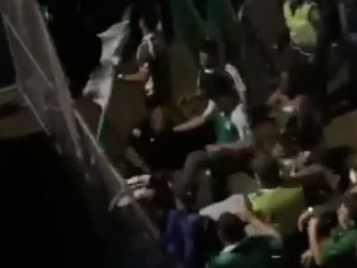 agresión Hincha américa