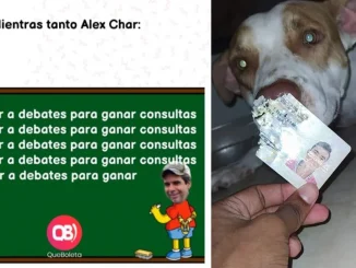 Los memes que dejó la jornada de votaciones en Colombia