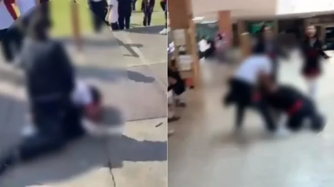 Peleas-y-Bullying-en-Colegio-de-la-UPB