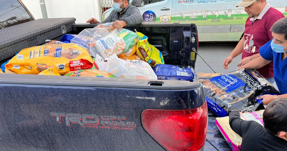 Mujer pidió que en su velorio en lugar de flores llevaran comida para perros 