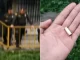 Disparos-de-policias-en-Robledo