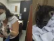 Rescataron a un zorro bebé en el Carmen de Viboral