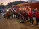 cARAVANA DIM