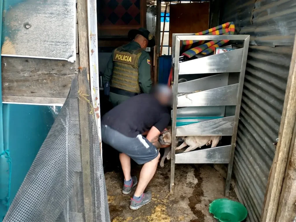 Incendio-criadero-de-perros-3