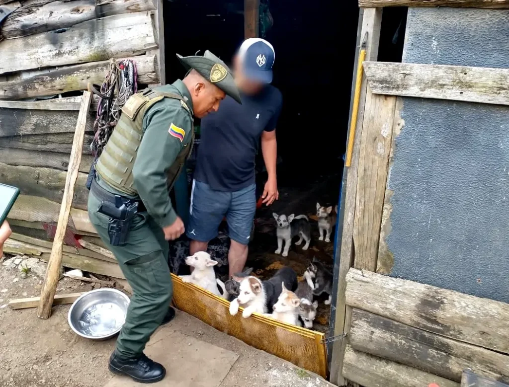 Incendio-criadero-de-perros-4