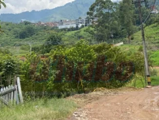 En extrañas circunstancias le quitaron la vida a un taxista