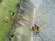 Encontraron cuerpo flotando en el río a la altura del puente de la Madre Laura