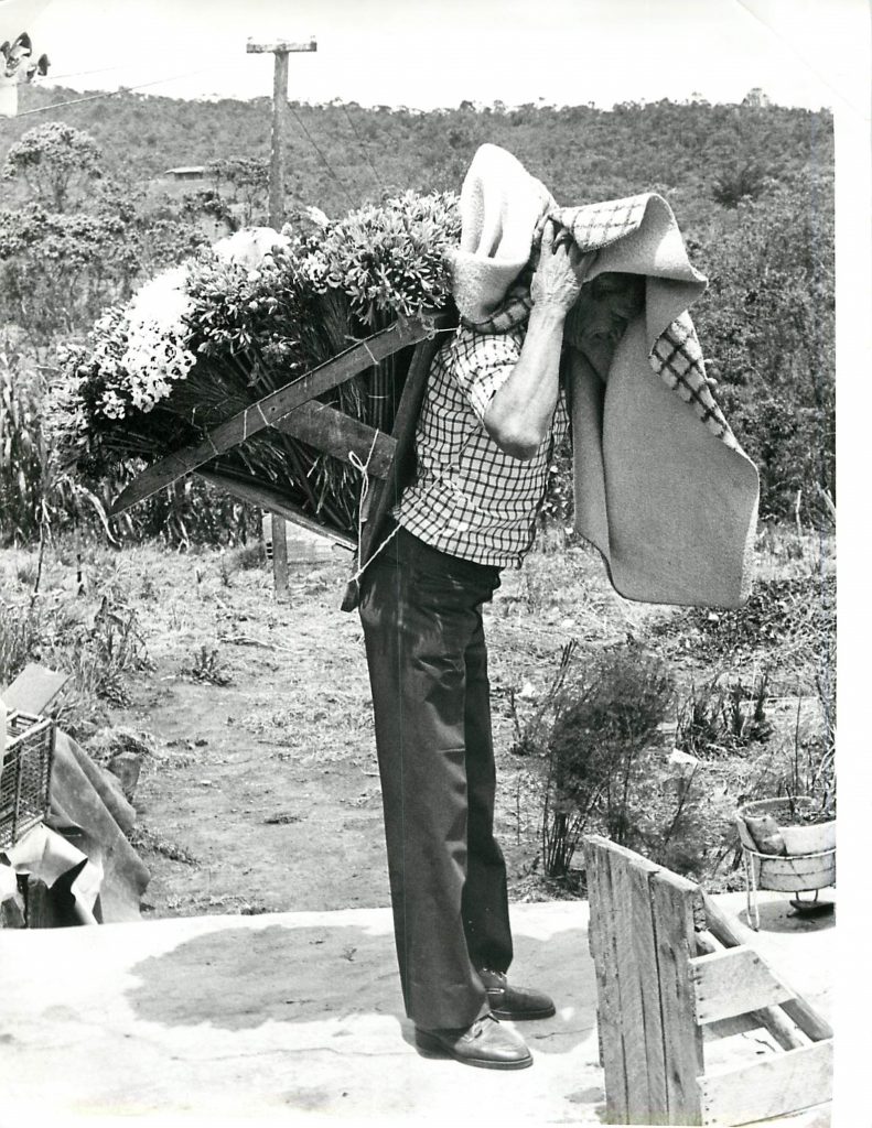 Em 1957, campesino lleva a cuestas una silleta cargad de flores. 