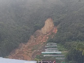 Deslizamiento en vereda de San Antonio de Prado