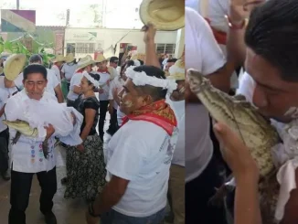El alcalde que se casó con un caimán