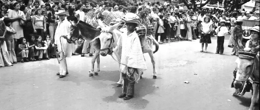 Historia Feria de las Flores