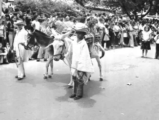 Historia Feria de las Flores