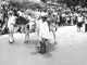 Historia Feria de las Flores