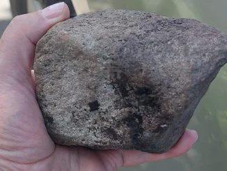 Al joven lo atacaron con una piedra.