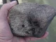 Al joven lo atacaron con una piedra.
