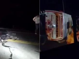 Bus-vocaldo-por-esquivar-una-vaca