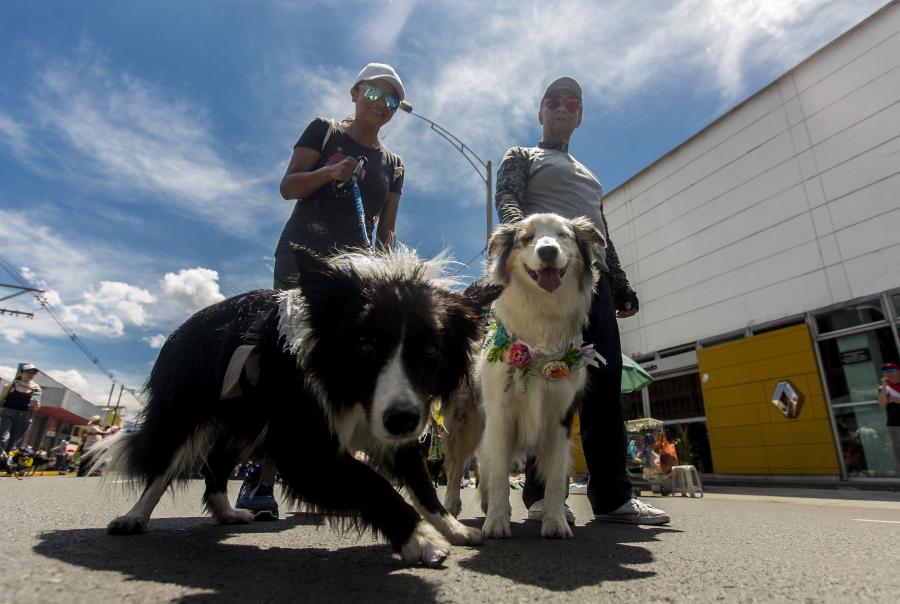 Caminata Canina Tierragro 
