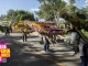 Cierres viales por eventos de la Feria de las Flores