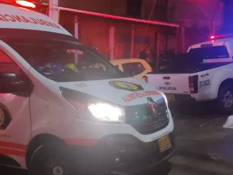Los organismos de rescate no pudieron hacer nada por su vida.