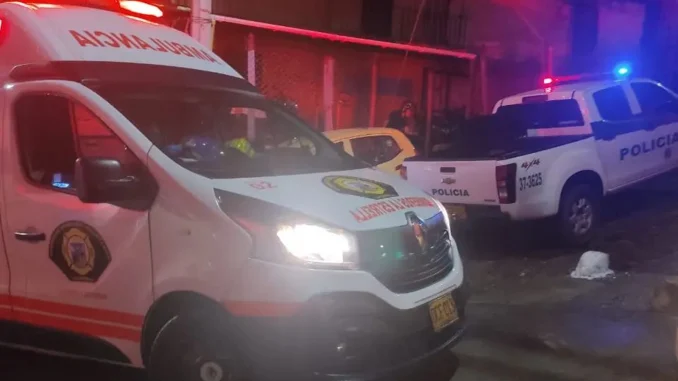 Los organismos de rescate no pudieron hacer nada por su vida.