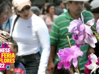 Orquídeas, Naturaleza y Tradiciones otro imperdible de la feria