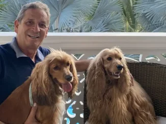 Los-perros-de-Dario-Gomez-estuvieron-en-su-velorio