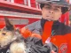 Perrito rescatado en Bello