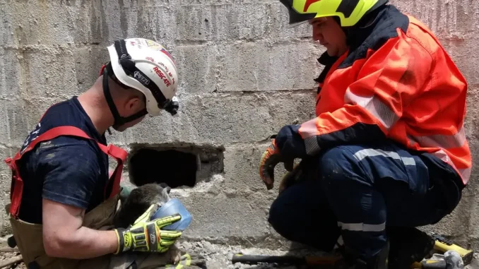 Rescate-de-perro-en-la-comuna-13-1
