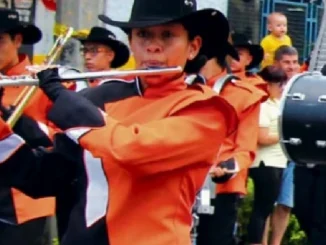 Programación de las Fiestas del Carriel para este sábado