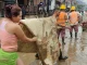 Declararon calamidad pública en Bello por la emergencia