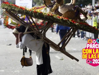 Preste atención al recorrido del Desfile de Silleteros