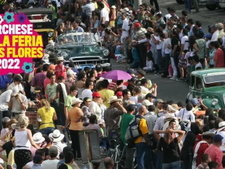 La Feria de las Flores en cifras