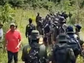 Fuerza pública y campesinos cultivadores de coca concertaron