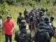 Fuerza pública y campesinos cultivadores de coca concertaron
