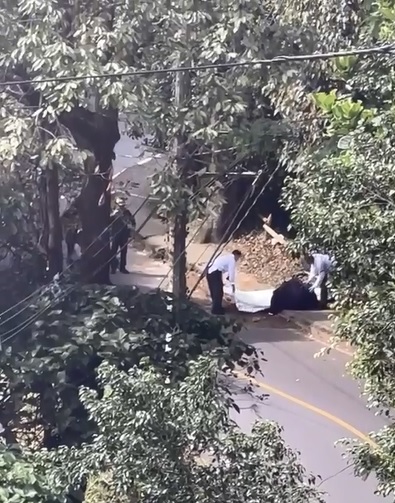 El cadáver se encontraba igualmente embolsado.