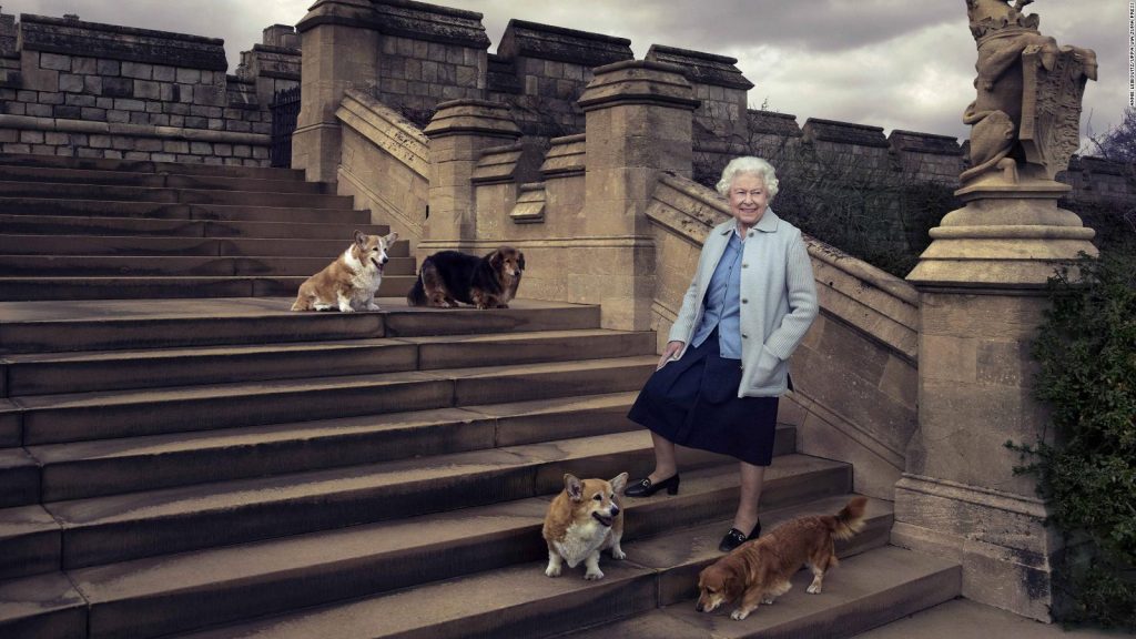 Los corgui eran los consentidos de la reina Isabel II y tenían todos los lujos, dignos de la realeza. /FOTOS: TOMADAS DE LA WEB.