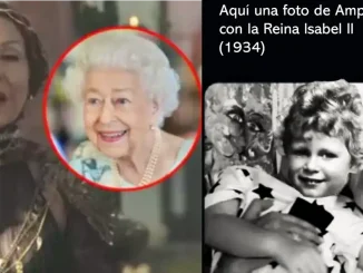 Memes amparo grisales