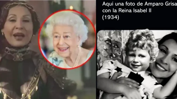 Memes amparo grisales
