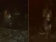 Mujer-desnuda-en-La-Asomadera