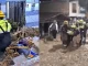 Deslizamiento y avenida torrencial en La Estrella dejó 8 casas afectadas y 2 lesionados