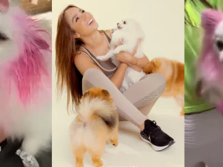Paola Jara respondió a críticas por tinturar a su perrita