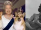 Los consentidos de la reina Isabel II que cuestan una millonada